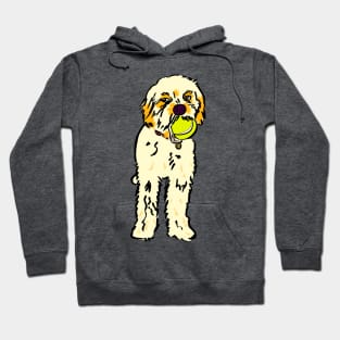 Ralph the Cavapoo Hoodie